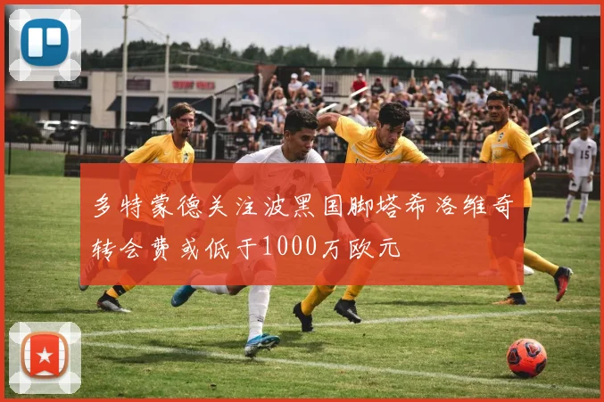 多特蒙德关注波黑国脚塔希洛维奇转会费或低于1000万欧元